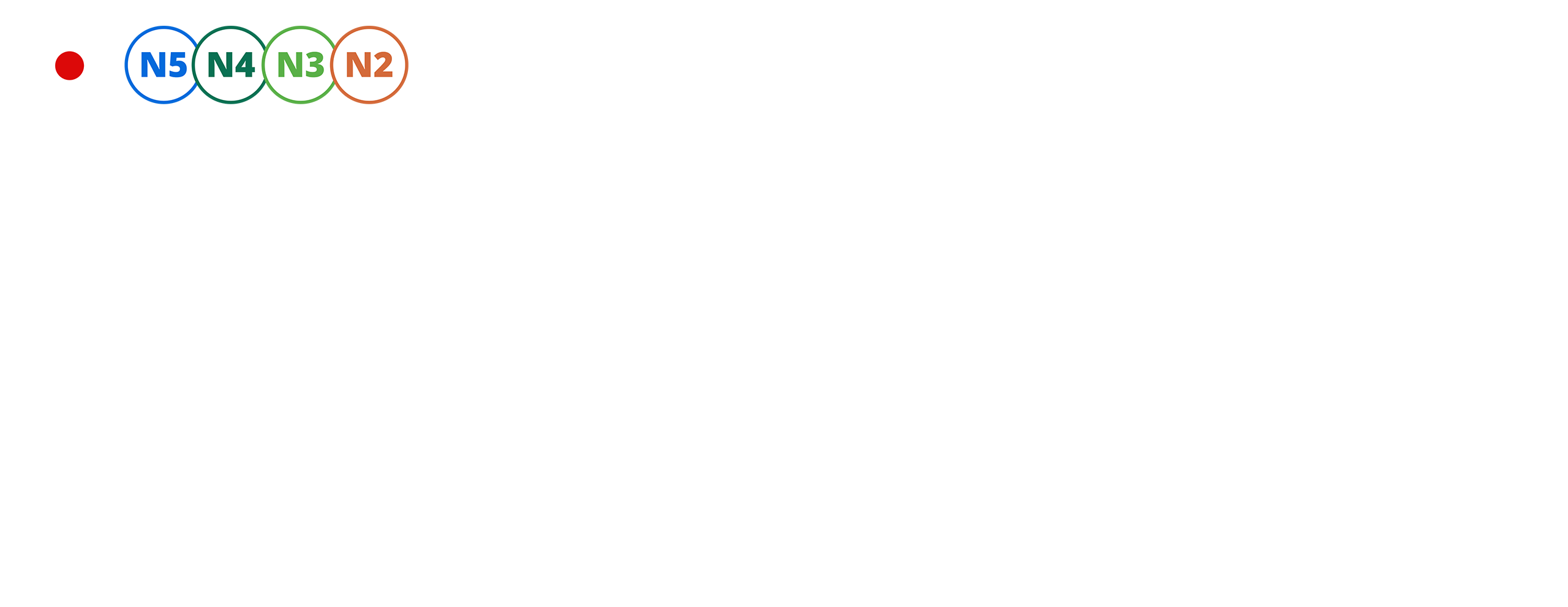 NS N4 N3 N2対応